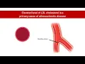 Conquer Cholesterol with Bempedoic Acid: Mechanism of action │ Pharmacology
