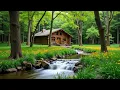 Download Lagu Helende muziek voor hart en bloedvaten 🌿 Kalmeert het zenuwstelsel en behaagt de ziel #6