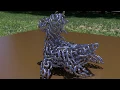 3d Reaction Diffusion in Houdini better render