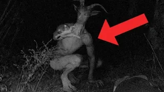 Download Craziest Cryptids Ever Discovered MP3