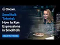 5 Quick Start Guide Running Smalltalk Expressions Cincom Smalltalk