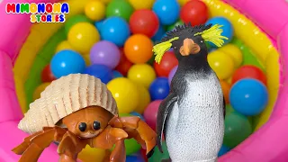 Encuentra el ANIMAL 🐘 ¿Dónde esta el DELFIN? ¿Dónde esta la ORCA? 🐧🦀 | Mimonona Stories