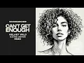Soulsearcher - Can't Get Enough (Velvet Wild & Electric Leopard Remix)