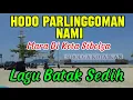Lagu MARA DI KOTA SIBOLGA - HODO PARLINGGOMAN NAMI - LAGU BATAK SEDIH 