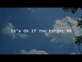Story wa | Astrid S - It's Ok If You Forget Me | lirik dan terjemahan