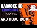 Download Lagu DUDU ROJO | KARAOKE LIRIK ( NADA COWOK ) KOPLO VERSION