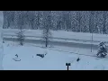 LIVE Snoqualmie Pass conditions