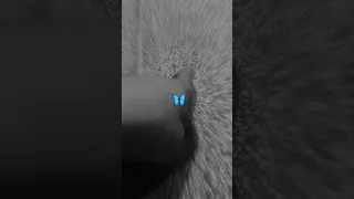 Pb Punjabisongs Premdhillon Songs Viral Trend 