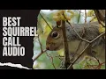 Download Lagu Audio Panggilan Tupai Terbaik - Suab Dib Nas