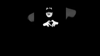 مهرجان من نار لما شافوا الورقة خضراء كلهم اصبحوا احباب اسود فى ابيض دندنها