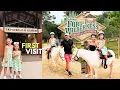 Exploring Disney s Fort Wilderness Resort Tri-Circle-D Ranch Pony rides