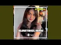 Download Lagu DJ Selamat Tinggal Mantan