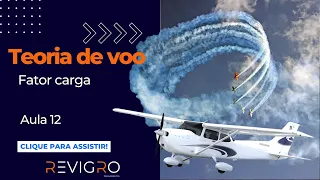 Aula 12 - Cargas Dinâmicas e Fator de Carga: Tudo o que Você Precisa Saber!