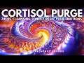 Download Lagu 741 Hz 🧘‍♂️ Neuro-Frequency Detox – Purge Cortisol \u0026 Reset Emotional Balance | Meditation Music