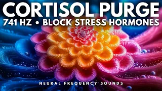 741 Hz 🧘‍♂️ Neuro-Frequency Detox – Purge Cortisol & Reset Emotional Balance | Meditation Music