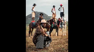 gen z arewa contents compilation