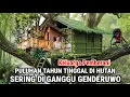 Ngeri !! Keluarga Pemberani Puluhan Tahun Tinggal Didalam Hutan Setiap Hari Diganggu Genderuwo