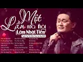 Download Lagu Một Lần Nữa Thôi, Nụ Hồng Mong Manh - Lâm Nhật Tiến | Nhạc Hải Ngoại Tuyển Chọn Lâm Nhật Tiến