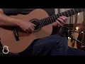 Lissarague Classical, Ziricote & Cedar | Lance Allen