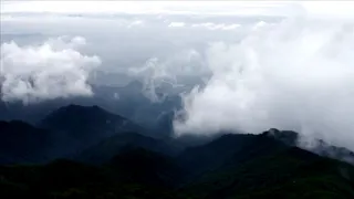 shizzi won le ba slowed u0026 reverb