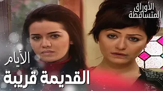 مسلسل الأوراق المتساقطة Yaprak Dökümü مقطع من الحلقة 87 فتون عم تلوم نجلا 