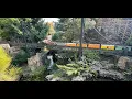 Ride the Rails at Gabis Arboretum Model Train Cab Ride Beautiful Garden Railroad