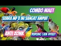 Download Lagu SUARA PIKAT BURUNG KECIL DAN BESAR AMPUH SANGAT COCOK DI GUNAKAN DI ALAM ANTI ZONK