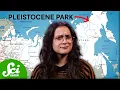 Download Lagu Grass Could Save The Arctic