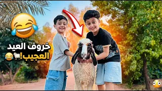 جبت خروف العيد.. ولقيت مجودي وجود نايمين ويا لصبح! 🐑😂
