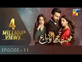 Download Lagu Mohabbat Tujhe Alvida Episode 11 HUM TV Drama 26 August 2020