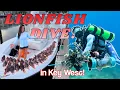 Diving for the Reef s Most Wanted Key West Lionfish