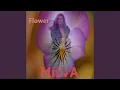 Download Lagu Princess Of The Lilies