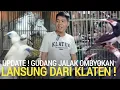 Download Lagu MURAH POL ! JALAK OMBYOKAN HARGA 45RB BEBAS PILIH DI PASAR BURUNG PRAMUKA HARI INI KIOS SIGIT 