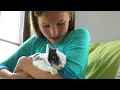 Choosing the Right Food for your Small Animal