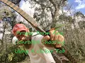 Proper Form and Controlled Shooting Using A Clicker Tab