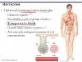 Chapter 7 Endocrine Physiology