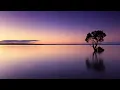 well on Daler Mehndi -this one hs my favriote song Jalwa Video _ Tunak Tunak Tun_480p
