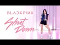 Download Lagu BLACKPINK - 'Shut Down' Dance Practice Cover | Ellen and Brian