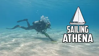 Sail Life – Finally we found treasure!