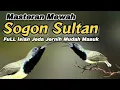 Download Lagu MASTERAN SOGON SULTAN‼️FULL ISIAN MEWAH JUARA NASIONAL#masteransogon #sogon #sogokontong MP3