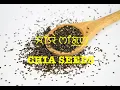 Download Lagu CHIA SEEDS (Salvia hispanica) Nutritional Properties in Manipuri : ꯆꯤꯌꯥ ꯁꯤꯗ꯭ꯁ