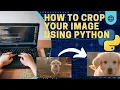 Python Pillow Tutorial How to Crop an Image Like a Pro