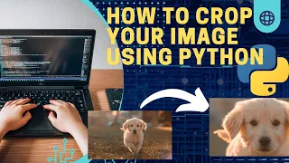 Python Pillow Tutorial How to Crop an Image Like a Pro