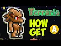 Terraria how to get Werewolf Charm EASY Terraria how to get Moon Charm