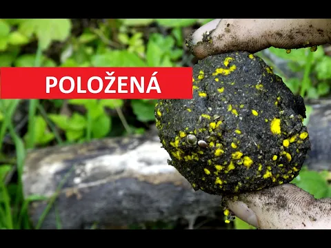 TOP krmení na kapry do teplé vody