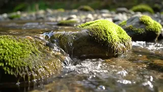 tahimik na gaya ng kalawakan philippines formless manifest 01 pure road