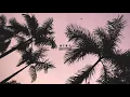 niki - move! (slowed down)