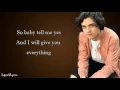 Lady Gaga - The Cure [Lyrics][Alex Stewart Cover]