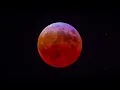 A 5 hours timelapse of the Total Lunar Eclipse of March 14th 2025
