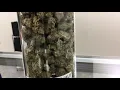 Tour Nature s Medicines in Bay County as it begins recreational marijuana sales